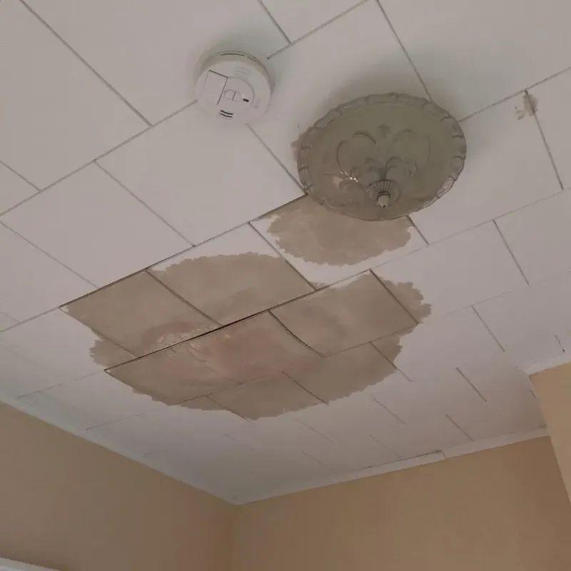 Ceiling Water Damage Repair in Mars Hill, NC