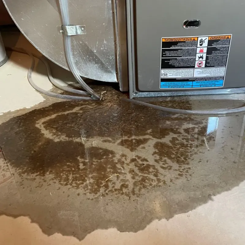 Pipe Burst and Leak Restoration in Mars Hill, NC