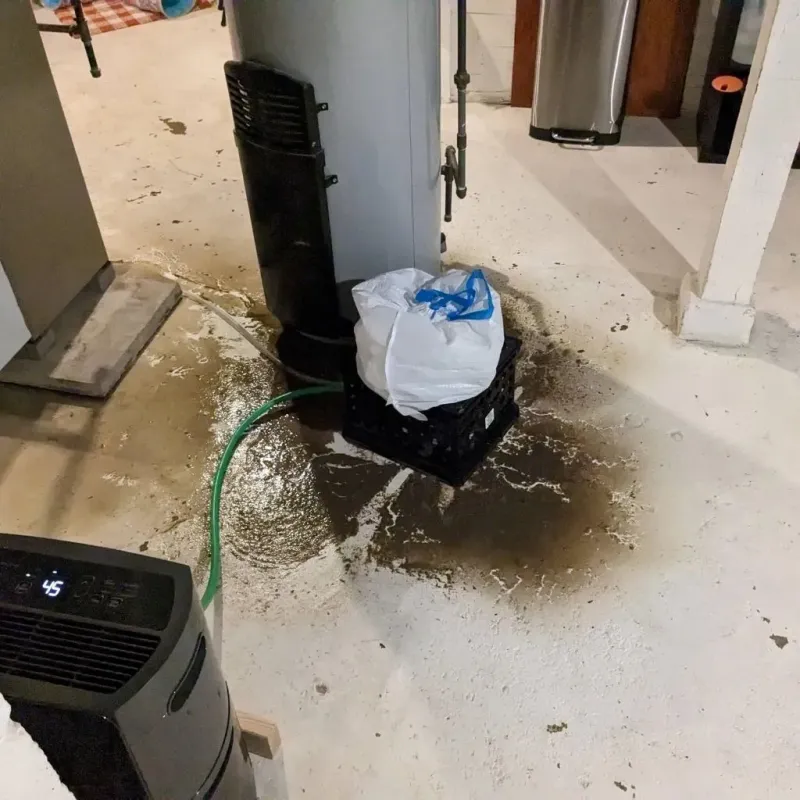Sewage Backup Cleanup Service in Mars Hill, NC